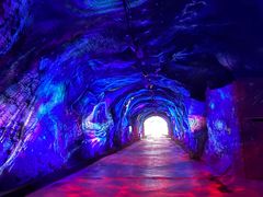 -栾川竹海野生动物园