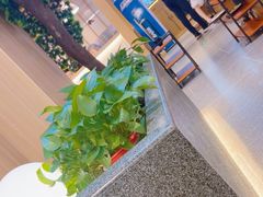 -九田家黑牛烤肉料理(国芳店)