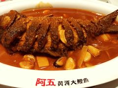 -阿五黄河大鲤鱼(海尚店)