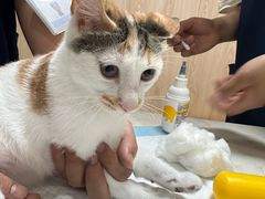 -恒幸动物医院·急重症转诊中心·神经内外科·CT核磁