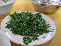 炒野菜-荣生萝卜汤饭店