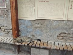-正阳书局(西四南大街店)