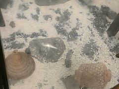 -顾乡私房菜(金沙天街店)