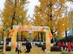 -两江幸福广场