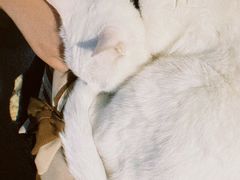 -Doors独立剧情密室(东门分店)