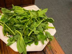 -芦苇荡·酸汤鱼(回龙观店)