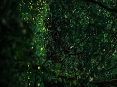 -学习谷日语培训日本留学·多语种外语教学(西单宣武分部)