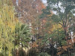 -苏州河梦清园环保主题公园