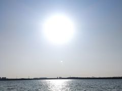 -丁香湖公园