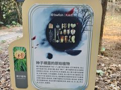 -中山市树木园