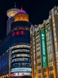 -乐高品牌旗舰店(人民广场店)