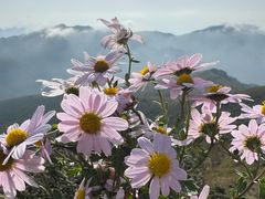 -灵山