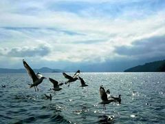 -丽江泸沽湖景区-里格半岛