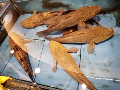 -御满江海鲜酒家(洛溪新城店)