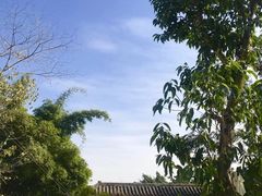 -悦哉·派对·草坪婚礼·围炉煮茶(三圣乡店)