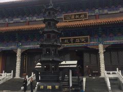 -天下玉苑
