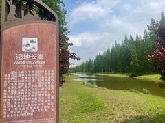 -黄海国家森林公园