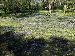 -国家植物园南园