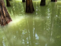 -鼎湖山风景区