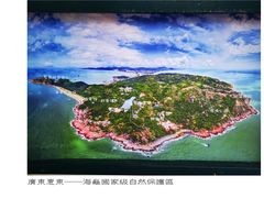 -广东惠东海龟国家级自然保护区