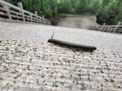 -龙口南山旅游景区