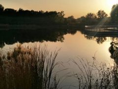 -永定河休闲森林公园