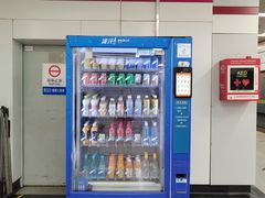 -东方体育中心(地铁站)