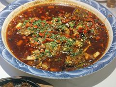 -新概念来凤鱼(璧山店)