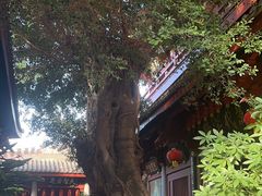 -叩齿古寺