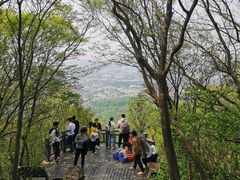 -紫金山山顶公园