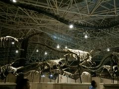 -世界恐龙谷景区