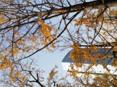-百林公园-两江幸福广场