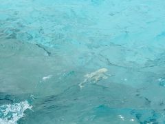 -陕西省游泳跳水馆