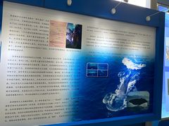-上海海洋大学鱼文化博物馆(军工路校区)