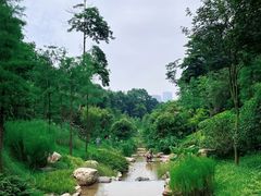 -云溪植物园