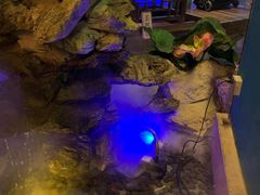 -佬麻雀·新湘菜(珠海金发购物中心店)