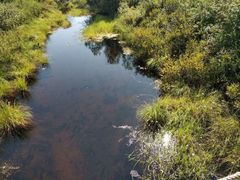 -北极村旅游风景区