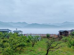 -河口景区