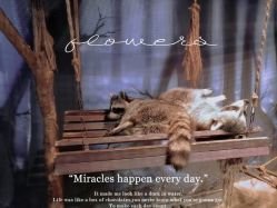 -酷嗒动物文化乐园(cutezoo西溪乐天城店)