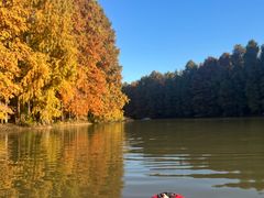 -上海海湾国家森林公园