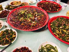 -东吴霸王兔(松青路店)