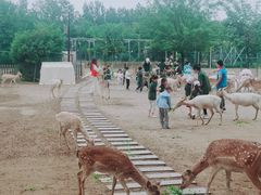 -北京麋鹿生态实验中心