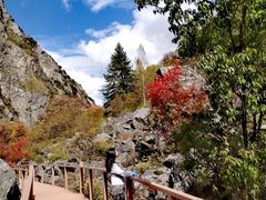 -叠溪松坪沟景区