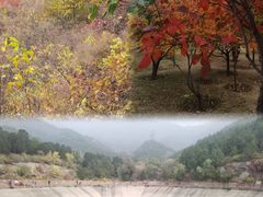 -北京十三陵国家森林公园蟒山景区