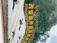 -西双版纳原始森林公园