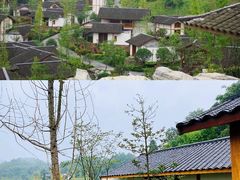 -老字号怡玺·藿香雅鱼(20年雅安店)