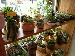 android_upload_pic-白塘生态植物园