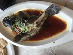 石斑鱼-琼菜坊·无鸡不成宴·海南菜老爸茶糟粕醋(海口骑楼老街店)