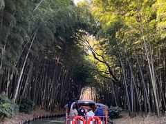 -同里国家湿地公园