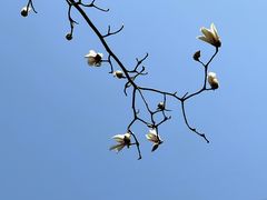 -黄公望隐居地